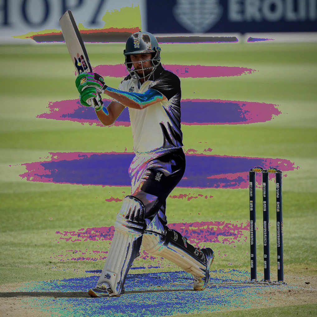 O'Rourke ruled out of India ODIs, Tests; Australia comeback now the goal — the method behind it O'Rourke ruled out of India ODIs, Tests; Australia comeback now the goal — the method behind it